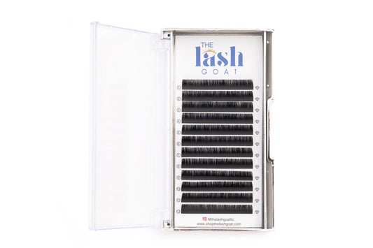 .03 Professional Lash Trays C